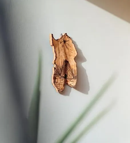 公寓 Dimora Pintau In Con Piscina Privata