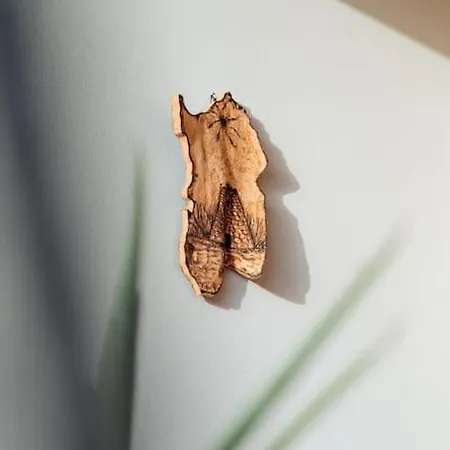 Апартаменты Dimora Pintau In Con Piscina Privata